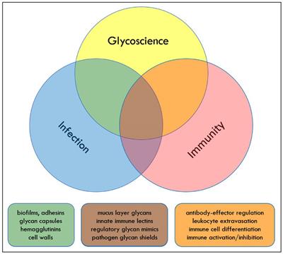 The Crossroads of Glycoscience, Infection, and Immunology